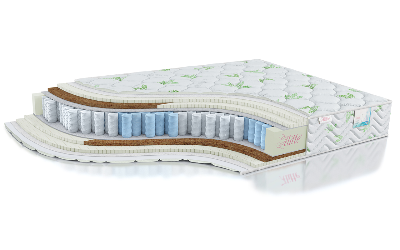 Alitte Art-Duo Judith Organic TFK MS-22-N